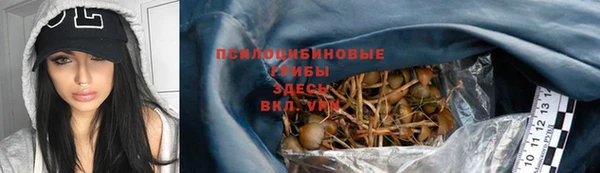 a pvp Гусев