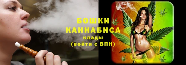 ПСИЛОЦИБИНОВЫЕ ГРИБЫ Дмитровск