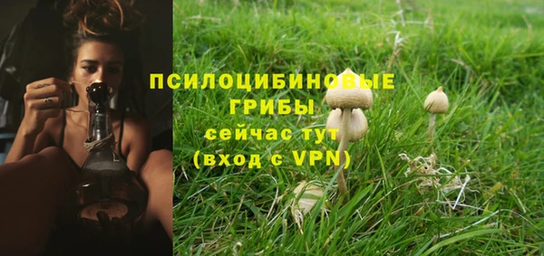 кокаин колумбия Дмитриев