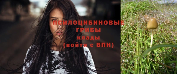 a pvp Гусев