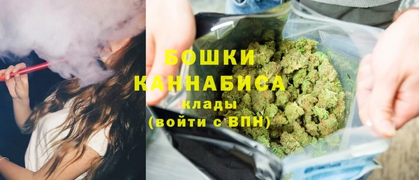 ПСИЛОЦИБИНОВЫЕ ГРИБЫ Дмитровск