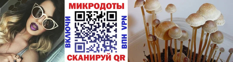Галлюциногенные грибы Cubensis  цены наркотик  Печоры 