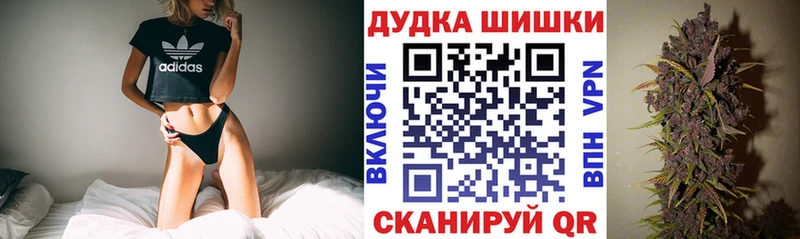 Шишки марихуана сатива  Печоры 